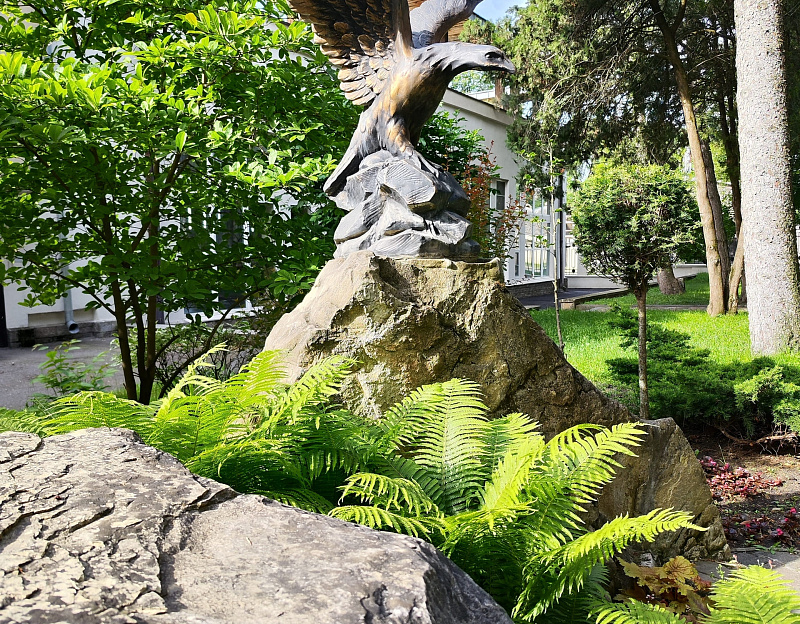 Санаторий «Металлург» г. Ессентуки. Территория